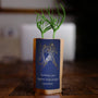 Aquarius Zodiac Tree Gift, We Plant 1 More Tree