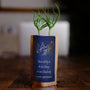 Gemini Zodiac Tree Gift, We Plant 1 More Tree